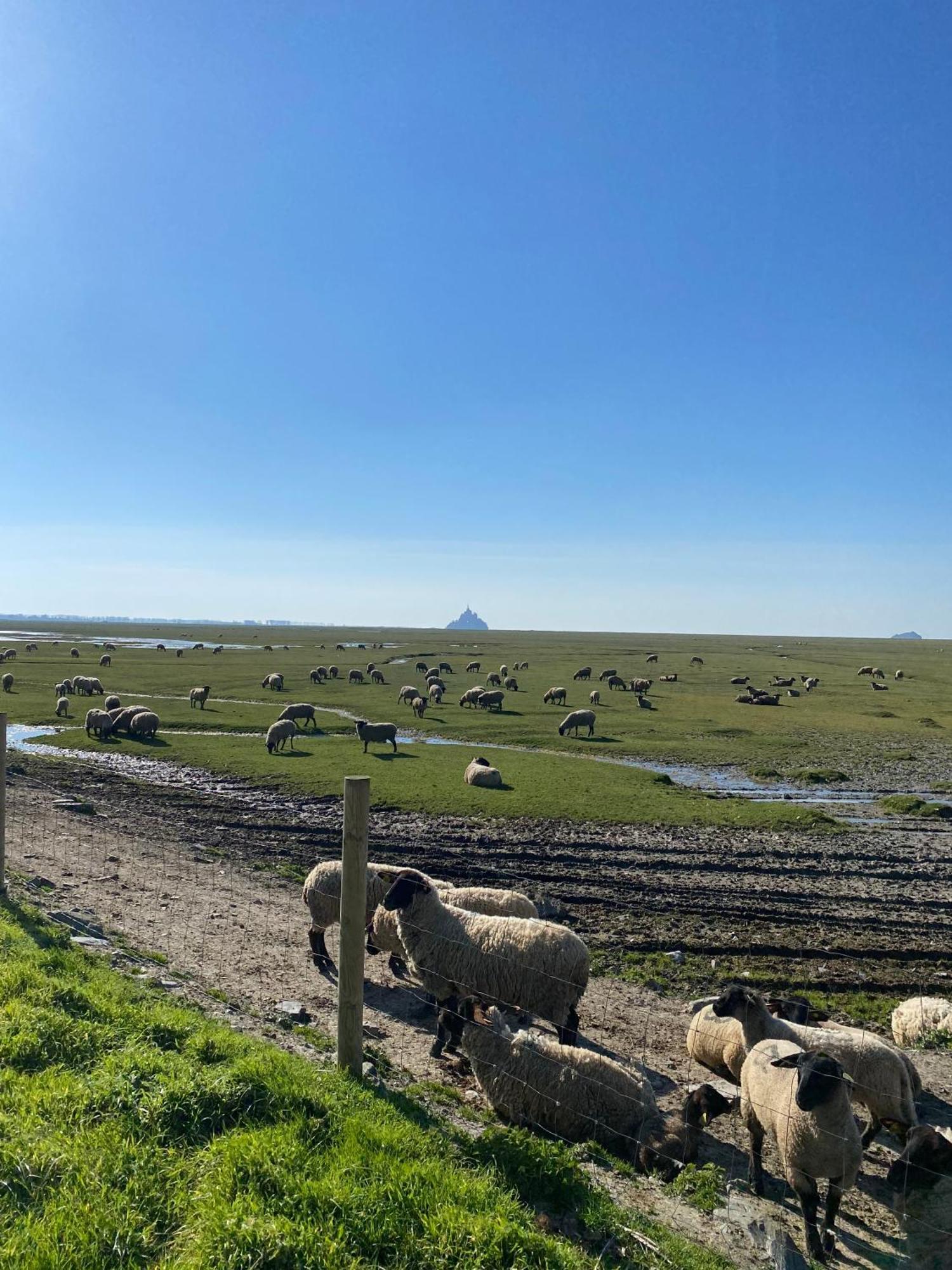 Le Relais De La Hardiesse 6Km Mont St Michel - Chambres Doubles - Suite Spa Privatif Courtils Eksteriør bilde